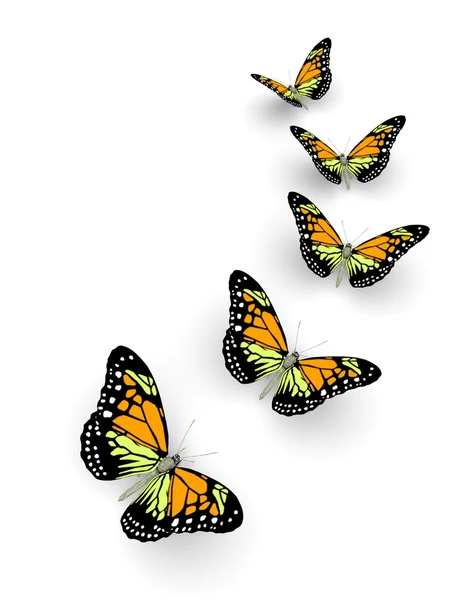 Five butterflies — Stock Photo, Image