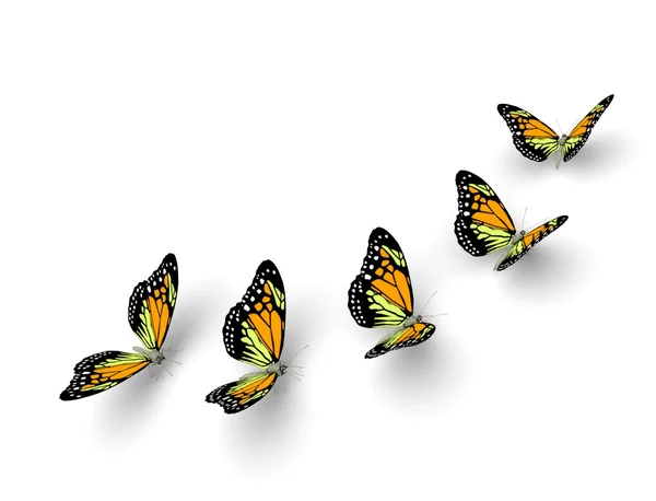 Пять бабочек — стоковое фото