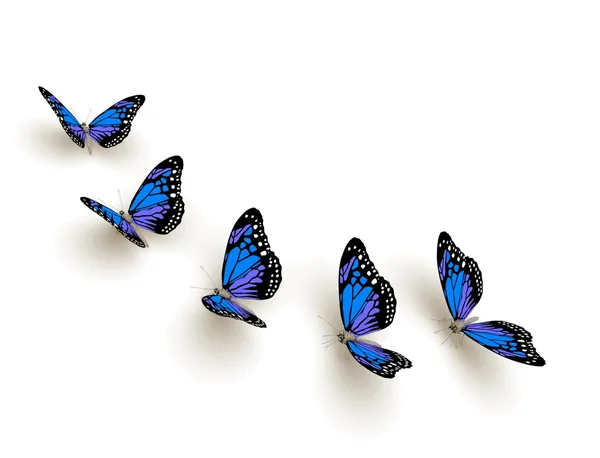 Five butterflies — Stock Photo, Image