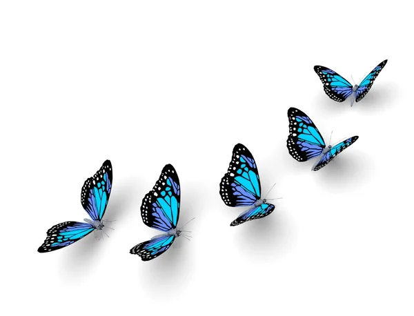 П'ять метелики — стокове фото