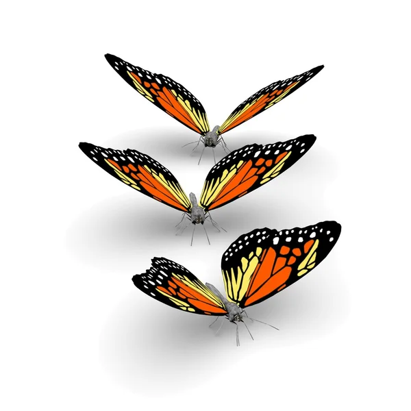 3D fjärilar — Stockfoto