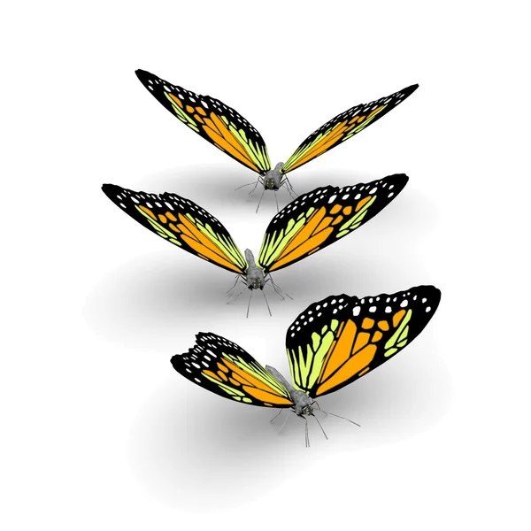Трехмерные бабочки — стоковое фото