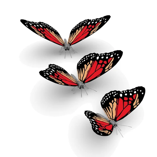 3d butterflies — Stock Photo, Image