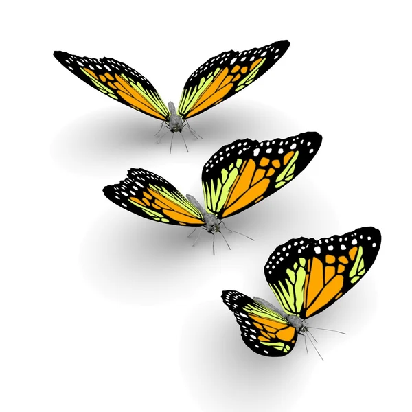 3D метелики — стокове фото