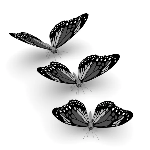 3d butterflies — Stock Photo, Image