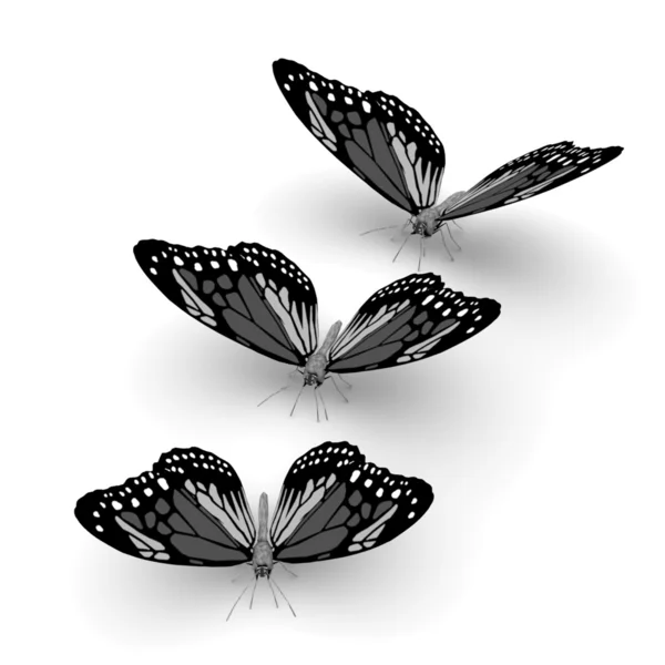 3D motýli — Stock fotografie