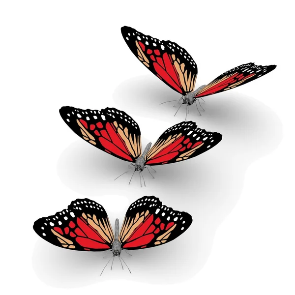 3D fjärilar — Stockfoto