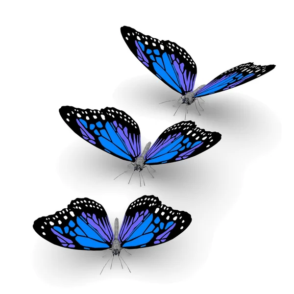 3d butterflies — Stock Photo, Image