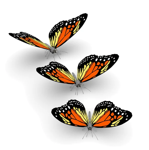 3d butterflies — Stock Photo, Image