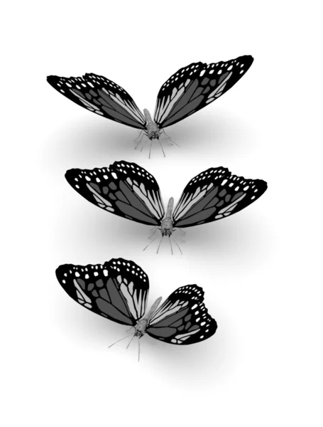 3D motyle — Zdjęcie stockowe
