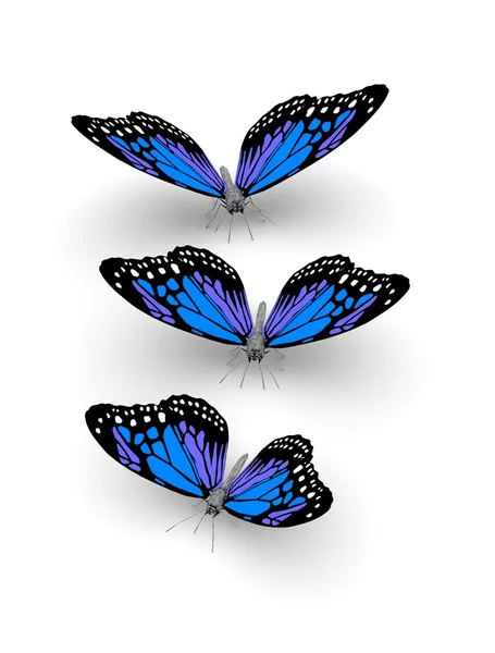 3d butterflies — Stock Photo, Image