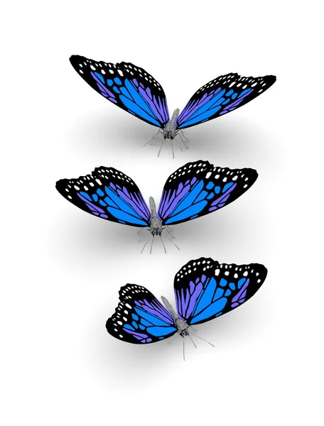 Mariposas 3d — Foto de Stock