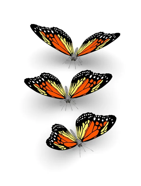 3d butterflies — Stock Photo, Image