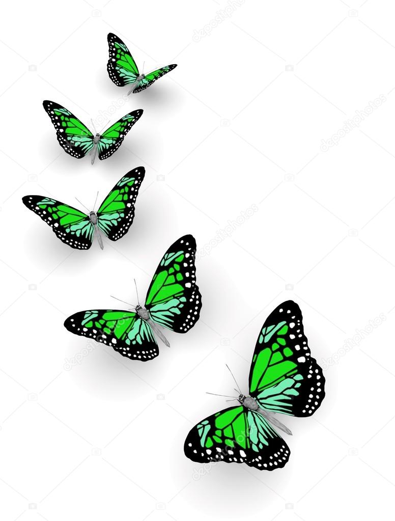 Five butterflies