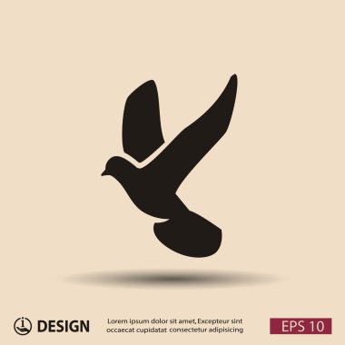 Ekibimizi bir güvercin kuş