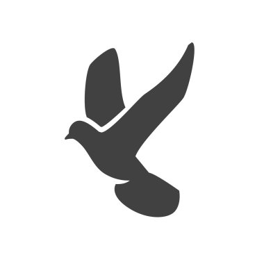 Ekibimizi bir güvercin kuş