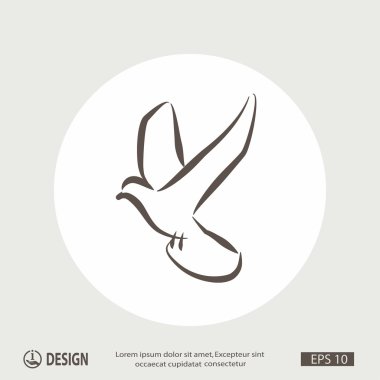 Ekibimizi kuş anahat.