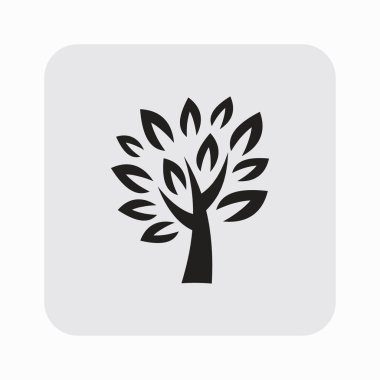 Ekibimizi ağacının yaprakları ile