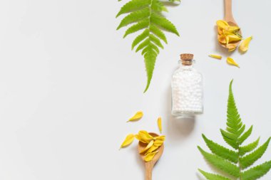 Yapraklı homeopatik küresel şişe, çiçek yaprağı ve beyaz arka planda tahta kaşık. Homeopati alternatif tıp konsepti. Üst görünüm.