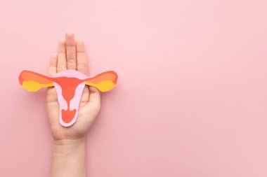 Kadın üreme sağlığı konsepti. Rahim şeklindeki kadın, pembe arka plan kağıdından yapılmış. Endometriyozis, PCOS, STD veya jinekolojik kanser gibi rahim hastalıklarına karşı farkındalık.