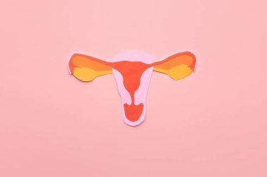 Pembe arka plandaki rahim şeklindeki kağıttan yapılmış. Endometriyozis, PCOS, STD veya jinekolojik kanser gibi rahim hastalıklarına karşı farkındalık. Kadın üreme sağlığı kavramı.