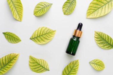 Doğal bitkisel serum ya da gerekli yağ ürünleri. Yeşil arka planda damlatan ve taze yapraklı yeşil cam şişe manzarası. Cilt bakımı, kaplıca, aromaterapi ve tıp konsepti.