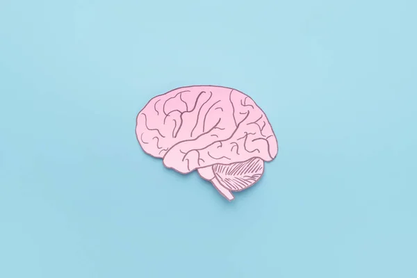 Brain symbol presented by human brain anatomy made form paper on light blue background. Creative idea for thinking, brain disorder, neurology, psychology or mental health concept. Minimal style.
