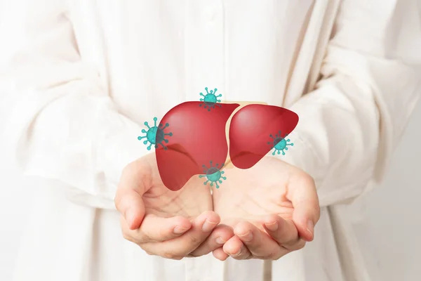 Dünya Hepatit Günü konsepti. İnsan eli karaciğeri viral enfeksiyon sembolüyle tutuyor. Karaciğer kanserine neden olan önleme ve tedavi viral hepatiti farkındalığı. Sağlık ve Sağlık Hizmetleri.