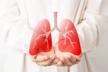 Akciğer organ sembolü tutan insan elleri. Akciğer kanseri, zatürree, astım, KOAH, pulmoner hipertansiyon, tütün günü olmayan dünya ve hava kirliliği. Solunum ve göğüs konsepti.