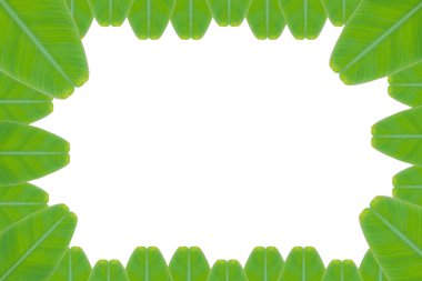 Çerçeve muz yaprak doku