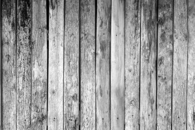 Beyaz ve siyah ahşap doku 