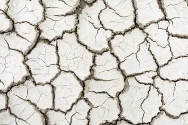 toprak kuraklığı çatlak doku