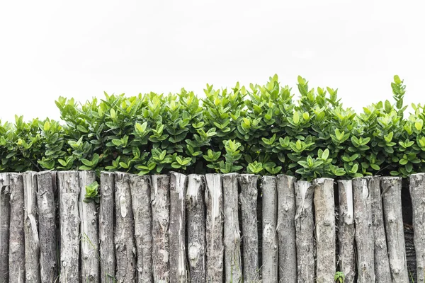 Fence on park outdoor — Stock Photo, Image