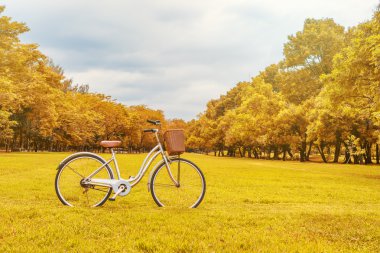 Bisiklet üzerinde renk filtreleriyle, yumuşak odak yapılan yaz bahçede