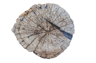 güdük doku, kırpma yolu