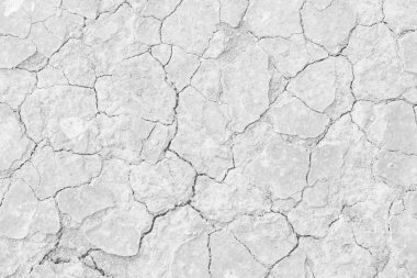 Beyaz toprak kırık kuraklık doku
