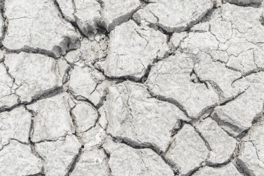 toprak kuraklığı çatlak doku