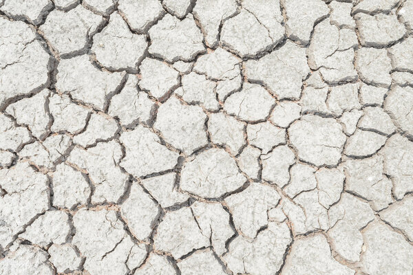 трещины в текстуре почвы