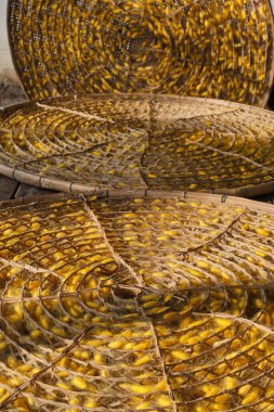 İpek böcekleri kozası Sabahları sıcak güneş ışığı alır.