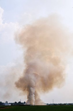Vahşi doğadaki yangından çıkan yoğun karanlık duman.