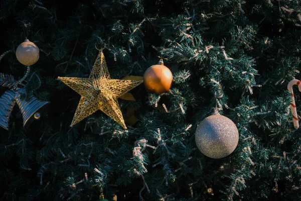 Estrella Oro Árbol Navidad —  Fotos de Stock
