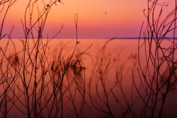 Río Atardecer Paisaje Naturaleza Puesta Del Sol Hermoso — Foto de Stock