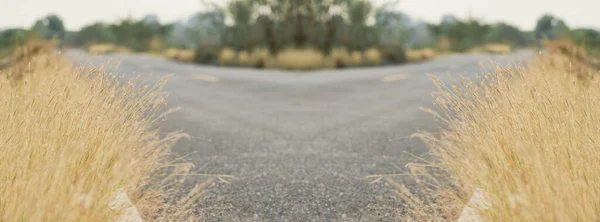 アスファルト道路の脇に生えている草 — ストック写真