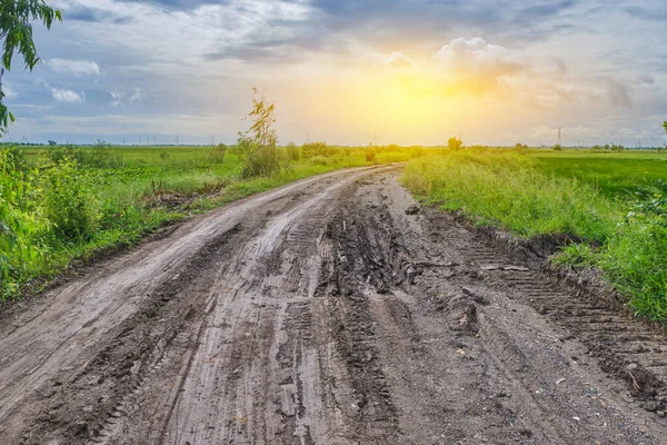 Toprakta Tekerlek Izleri Var Kır Yolu Doğal Sabah Manzarası — Stok fotoğraf