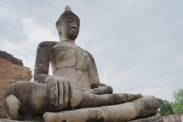 Будда Аюттхая — стоковое фото
