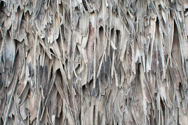 Velho padrão de folha de coco — Fotografia de Stock