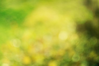 yeşil arka plan bulanık