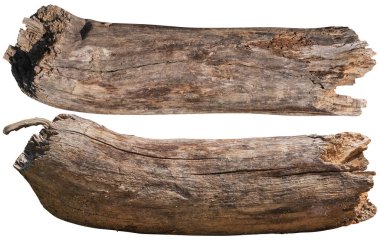 Beyaz arka planda ağaç dalları izole edilmiş. kırpma yolu.