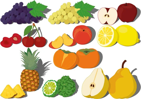 Färsk Söt Frukt Samling Vektor Illustration — Stock vektor