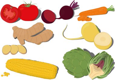 Whole and cut fresh vegetables collection vector illustration
